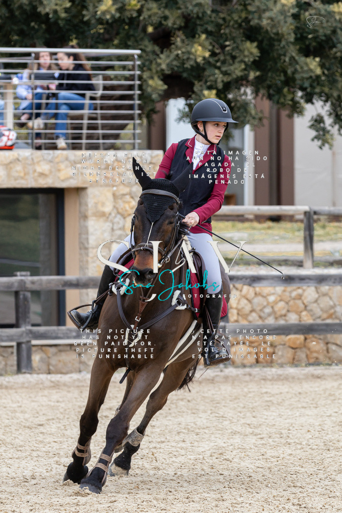 IMG_5028 | s-jay-photography - Realisiert mit Pictrs.com