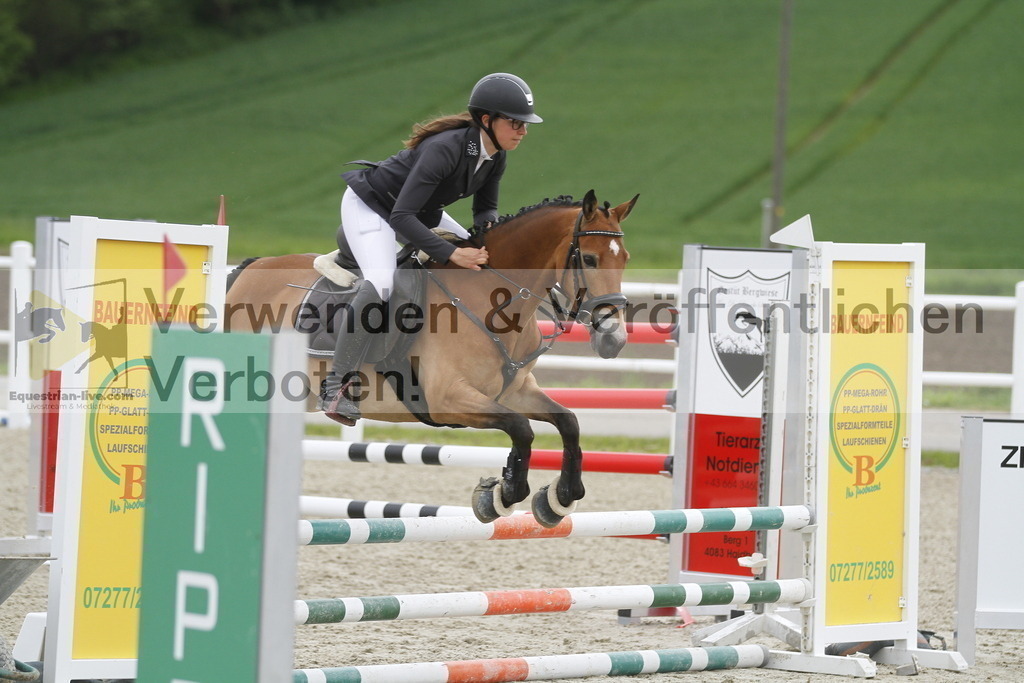 _MG_1256 | equestrian-live-com