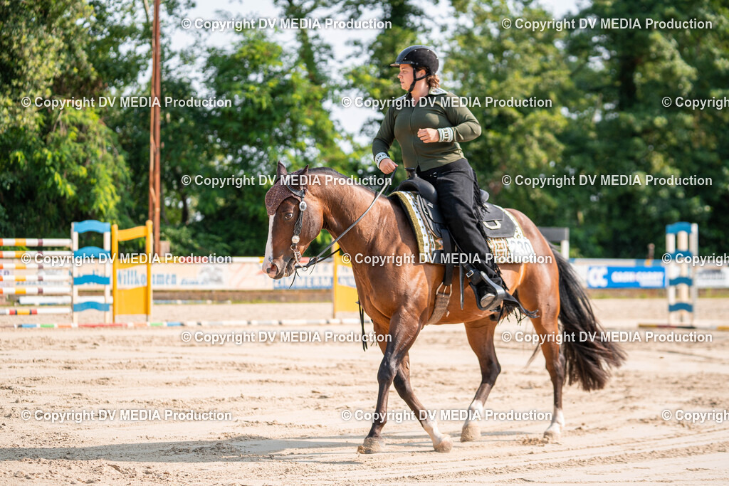 Zeiskam Tag 1-294 | dv-media-shop - Realisiert mit Pictrs.com