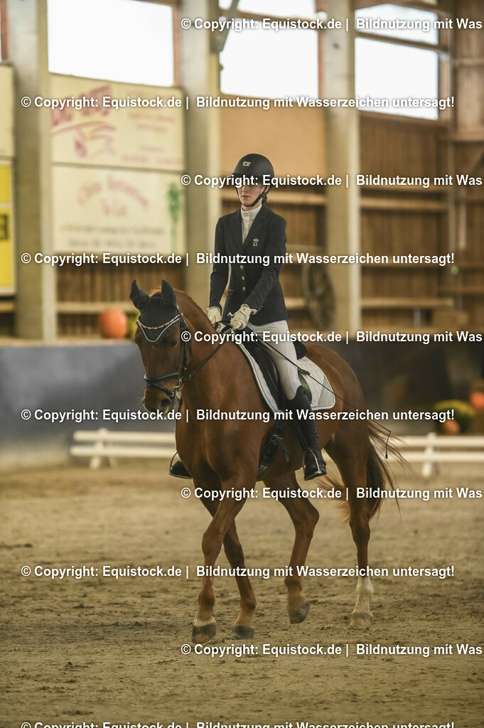 20231029_04_Dressur-WB_0087 | Foto: Thomas Hartig