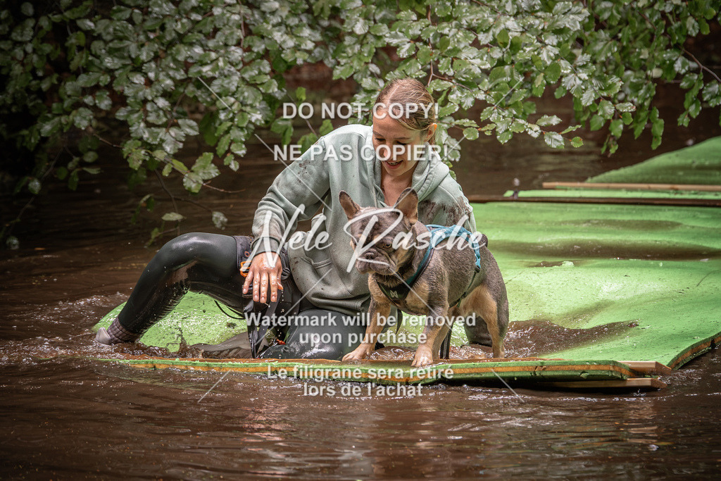 nelerasche_Wingst_Sa1330-1400_39 | nelerasche