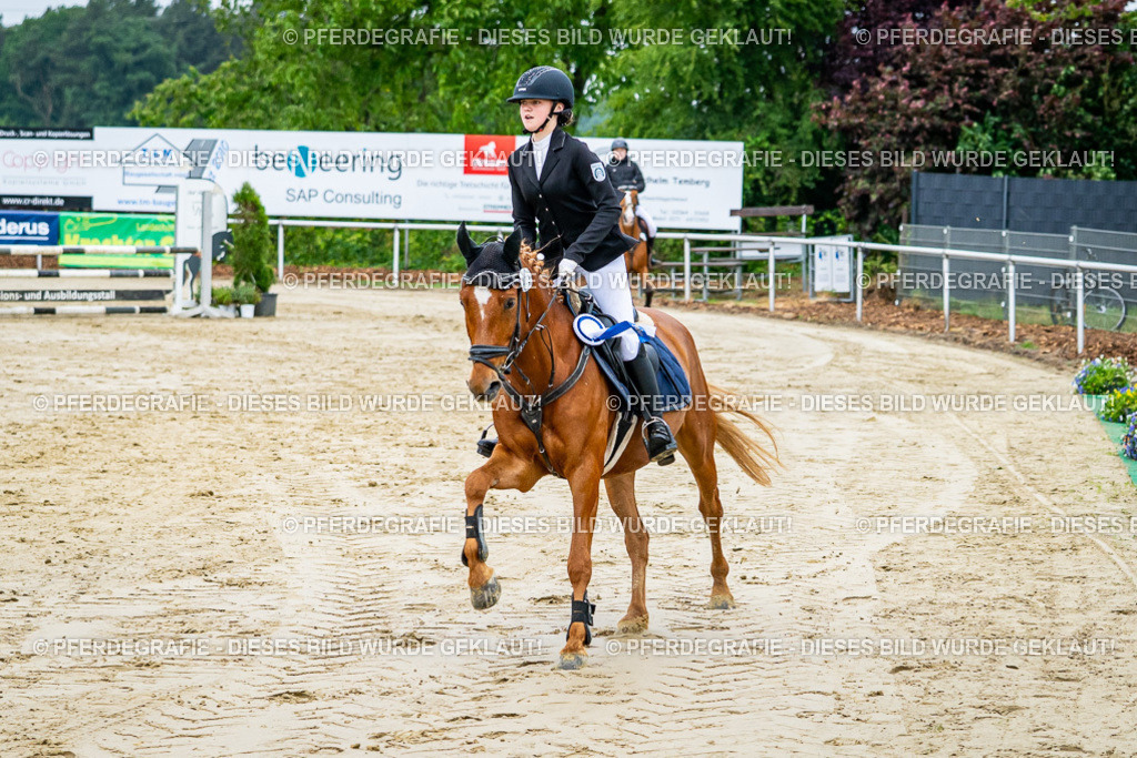 DSC02874 | Pferdegrafie