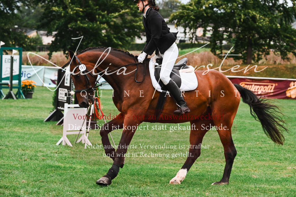 DSC_5965 | Pferde- und Turnierfotografie in Westsachsen. Pferdeportraits, Auftragszeichnungen und intuitive Kunst.