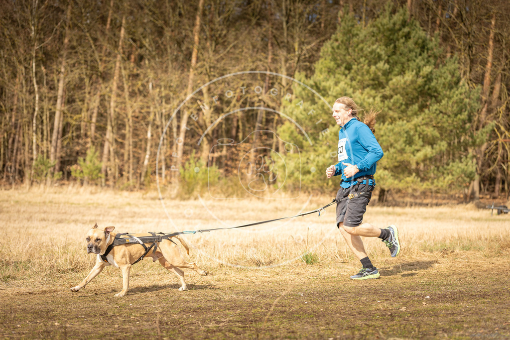 DV3A5338 | Hundefotografie, Tierfotograf, Pfotenfotografie, Fotoshooting Hund, Hunde Portrait, Hundesport, Hundeportraits, Heideshooting, Hunde, Sportfotograf, Hundefotograf, Turnierhundsport, THS,  - Realisiert mit Pictrs.com