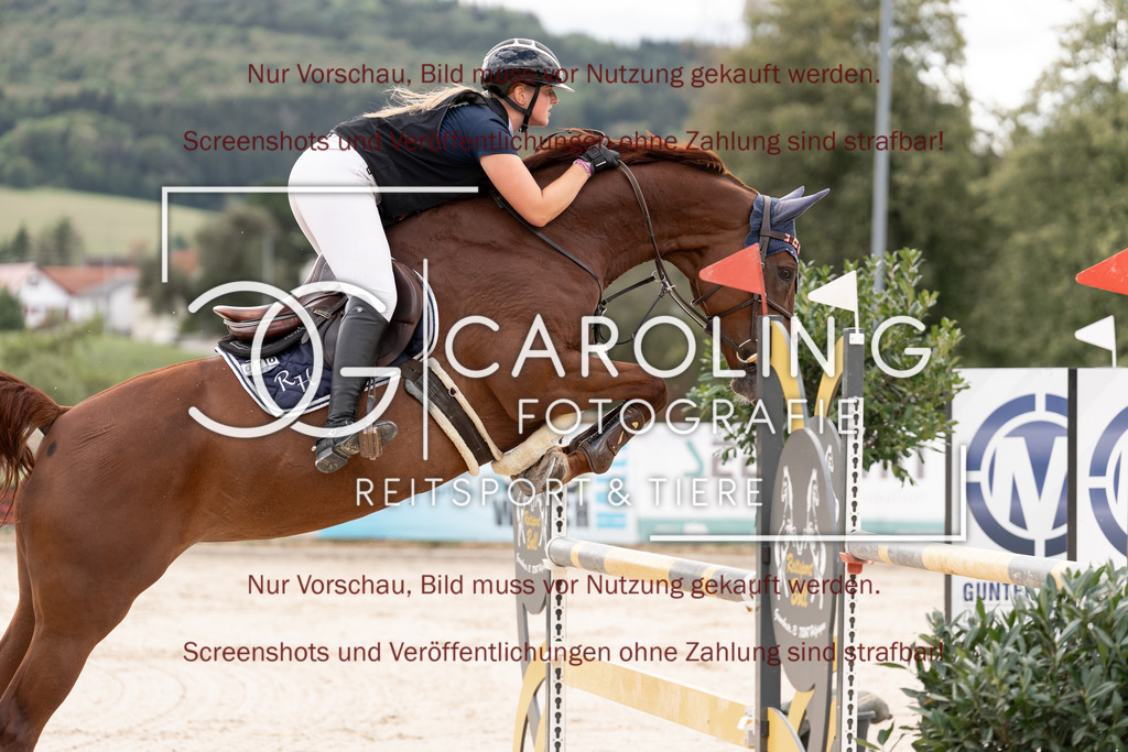 DSC06461 | Springturnier_Teamchallege_Talheim_2026, Romy_Hack, Alm_von_der_Hütlen