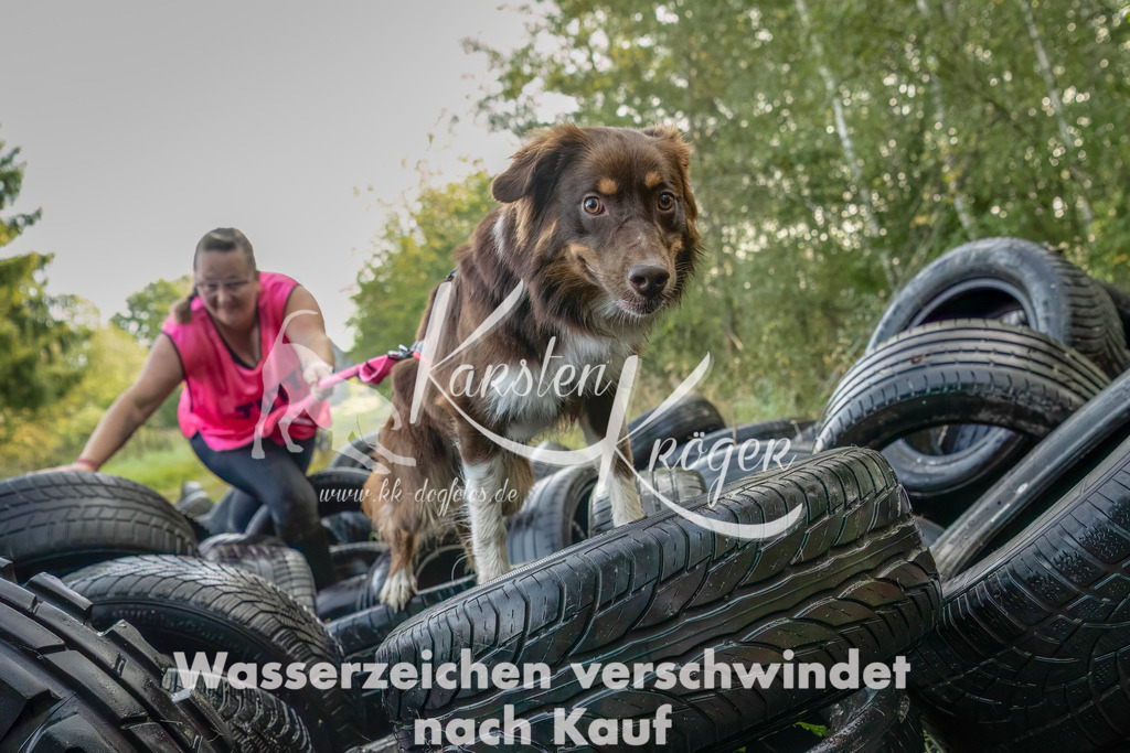 1034_ZZ94839-Bearbeitet-2 | kk-dogfotos