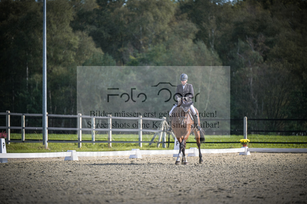 DOS_1015 | Entdecke hochwertige Reitturnierfotos von Foto Oger. Professionell, emotional und authentisch – jetzt Lieblingsmomente im Shop bestellen.Deutschlandweite Turnierfotografie. - Realisiert mit Pictrs.com