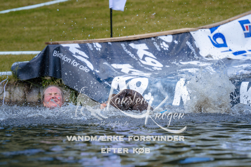 _ZZ984431041 | kk-dogfotos