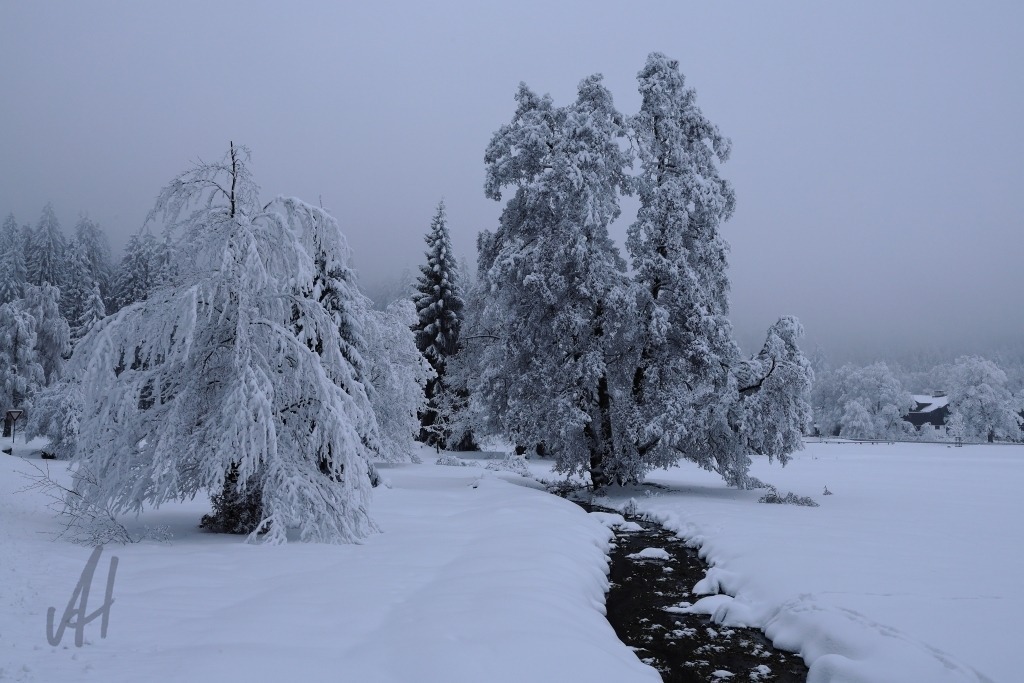 Winterstimmung im Kaiserwald | Winterstimmung im Kaiserwald - Realisiert mit Pictrs.com