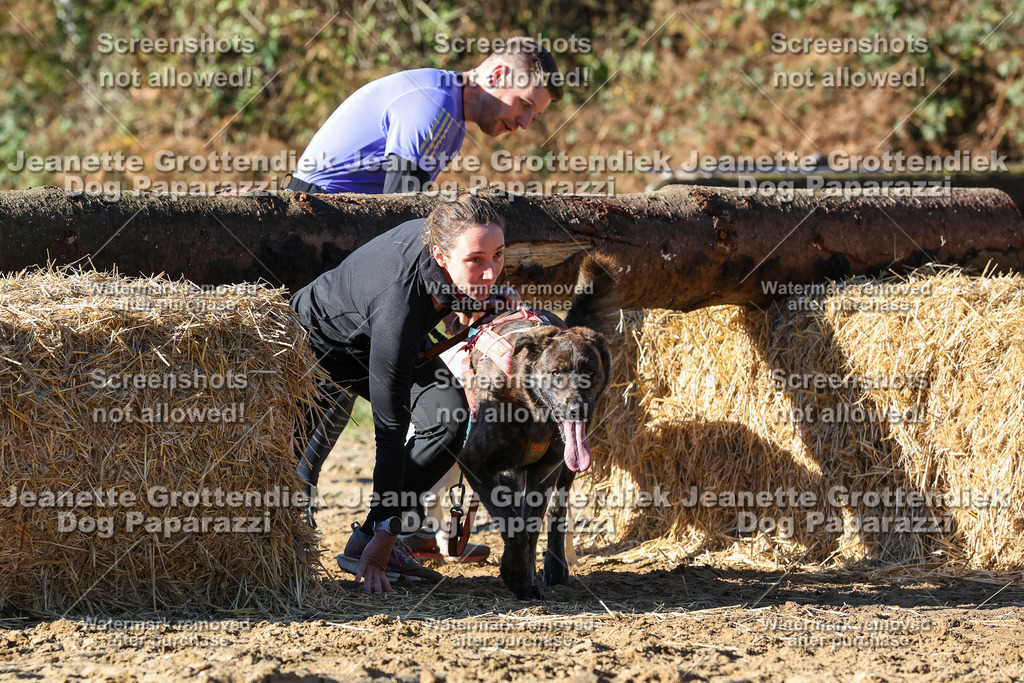 Dog Paparazzi - Strongdog 10-25-2180 | Dog Paparazzi Jeanette Grottendiek Fotografie & Videografie - Realisiert mit Pictrs.com