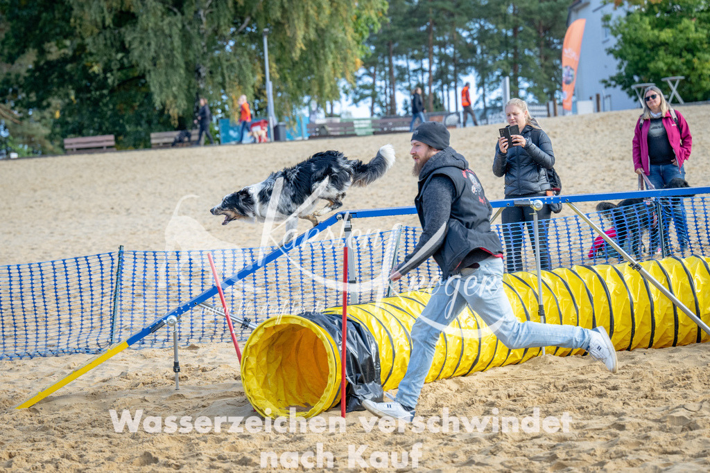 0958_ZZ93238 | kk-dogfotos