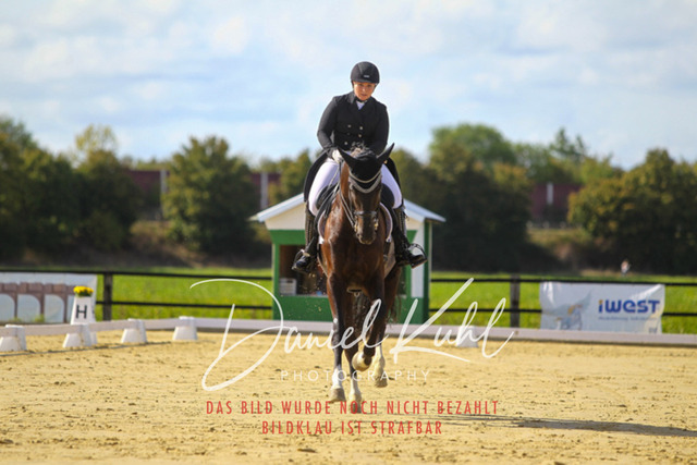 DKP45484 | Turniersportfotografie; Pferdefotografie; Dressurfotografie