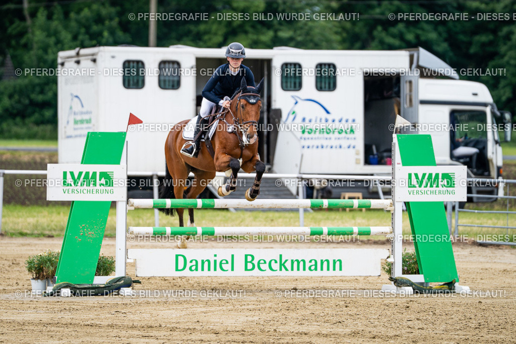 DSC05010 | Pferdegrafie