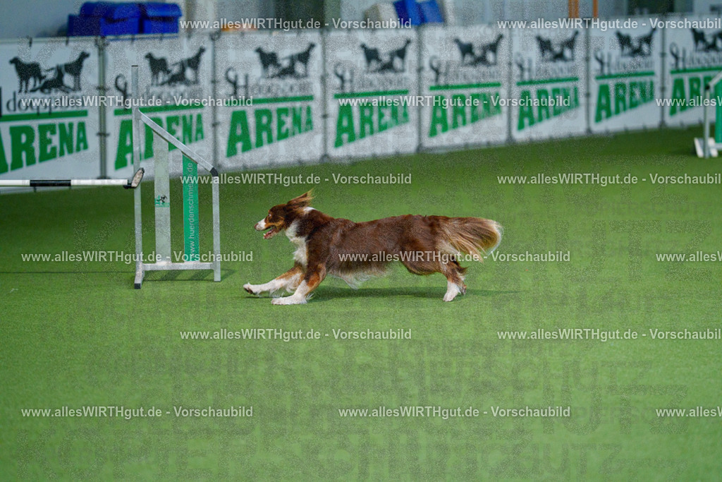 @allesWIRTHgut_Tierfotografie - www.allesWIRTHgut.de - 2604250811-7R505642 | Professionelle Tierfotografie in Mönchengladbach von Daniel Wirth (allesWIRTHgut). Liebevolle & natürliche Bilder von Hunden & Katzen für unvergessliche Erinnerungen.