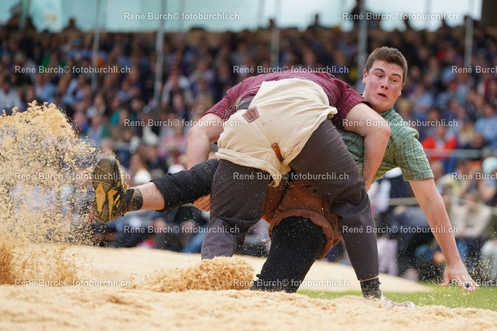 20220529-DSC08699 | René Burch leidenschaftlicher Fotograf aus Kerns in Obwalden.  Hier finden sie Sport, Landschaft und Natur Fotografie.
 - Realisiert mit Pictrs.com