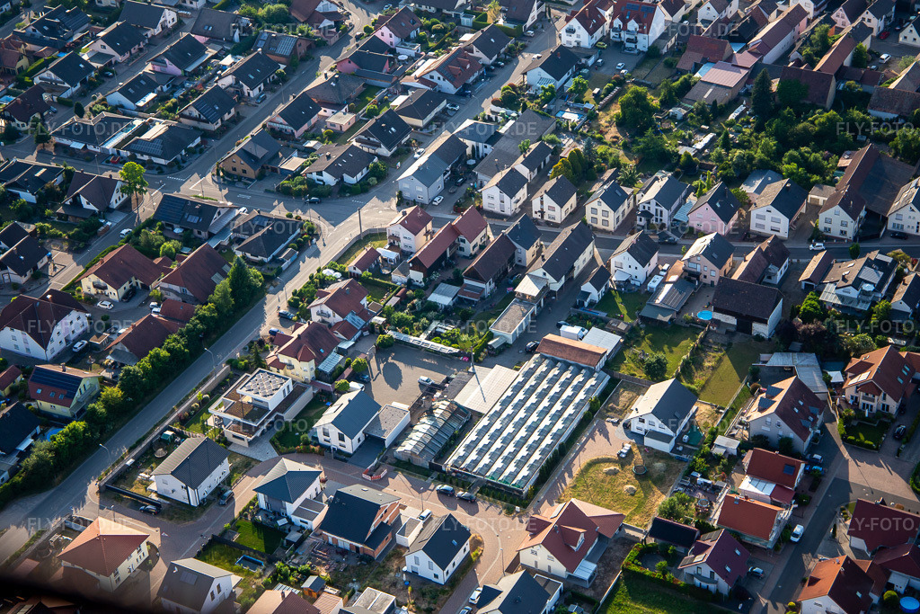 Luftbild: Blumenhaus Götz in Kuhardt im Bundesland Rheinland-Pfalz in Deutschland.Foto: IMG_136193.jpg vom 07.06.2023 durch Werner Riehm/FLY-FOTO.deAuflösung des Originals: 5472 x 3648 pxBlumenhaus Götz - Kuhardt - Blumenhaus Götz Kuhardt
