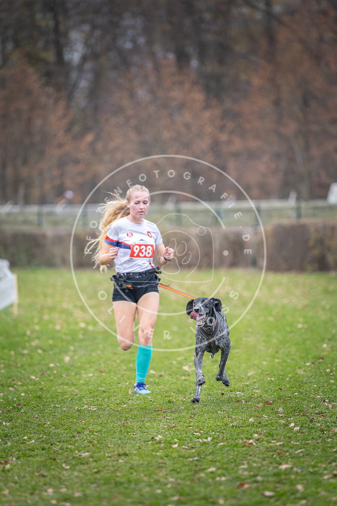 CaniXpix_DV3A7183 | Hundefotografie, Tierfotograf, Pfotenfotografie, Fotoshooting Hund, Hunde Portrait, Hundesport, Hundeportraits, Heideshooting, Hunde, Sportfotograf, Hundefotograf, Turnierhundsport, THS,  - Realisiert mit Pictrs.com