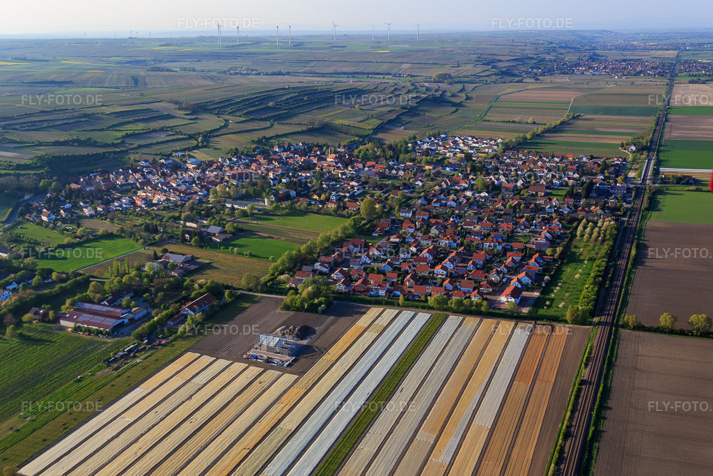Luftbild: Dorfansicht aus Süden in Mettenheim im Bundesland Rheinland-Pfalz in Deutschland. Foto: IMG_077617.jpg vom 23.04.2015 durch Werner Riehm/FLY-FOTO.de