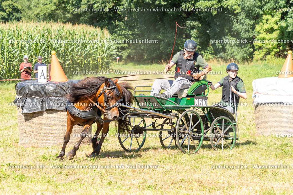 2026-08-08_14-36-37_WBO_Pulsnitz | sternberg.click - Realisiert mit Pictrs.com