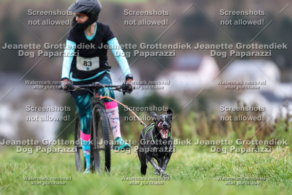 Dog Paparazzi - Herkules Race  2025-17 | Dog Paparazzi Jeanette Grottendiek Fotografie & Videografie