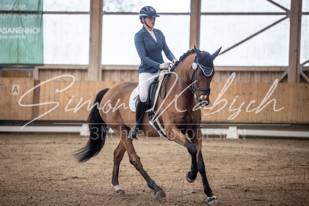 20251011-_3LI9832 | Tierfotografie Pferde, Hunde, Katzen, Haustiere.
Turnierfotografie Reitturniere, Reiten, Springreiten, Dressur in Hanau, dem Main-Kinzig-Kreis und dem Rhein-Main- Gebiet um Frankfurt