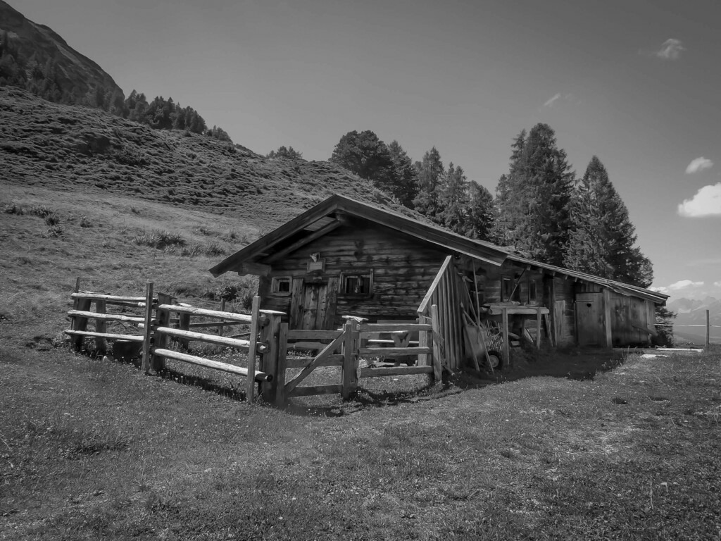 CIMG6794 | Sich an die einzigartigen Momente der Natur und Landschaft sowie die Begegnung mit heimischen wilden Tieren zu erinnern, dies kann man anhand den Bilder der Natur und Landschaftsfotografin Sandra Eimermacher.  - Realisiert mit Pictrs.com