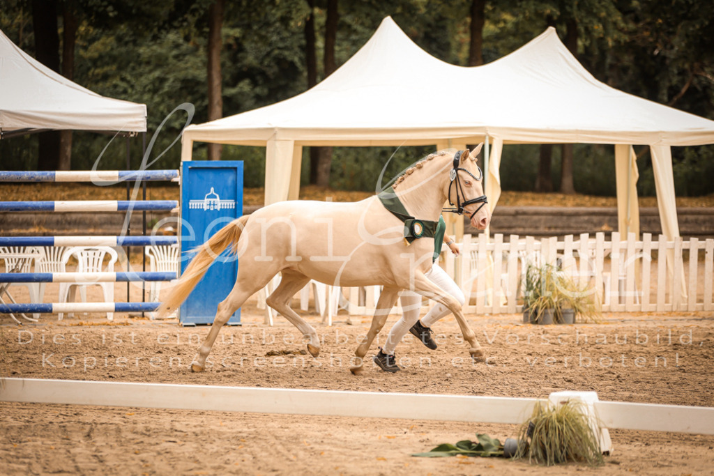 07.So00135 | Leoni Ertmer Photography - Realisiert mit Pictrs.com