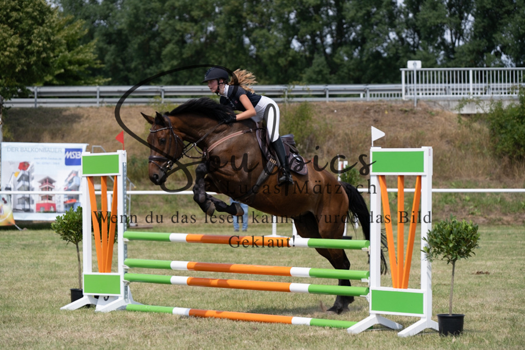 A7V01848 | Pferdefotograf