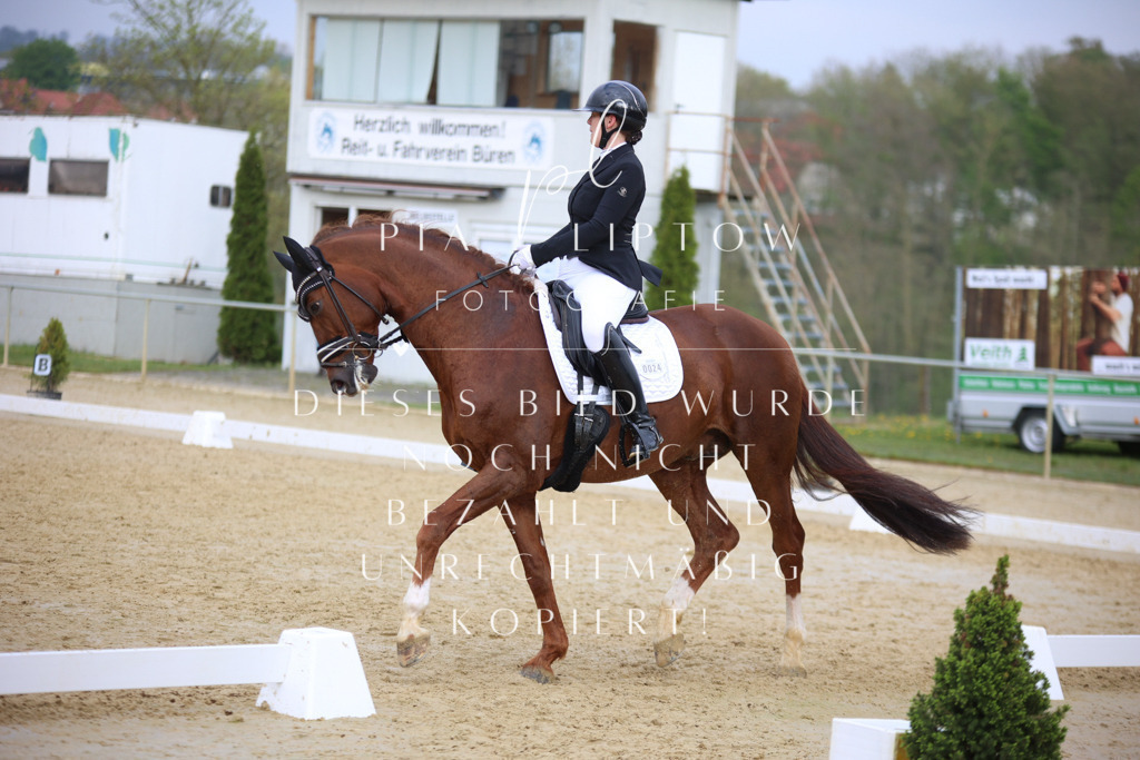 IMGT7551 | pl-fotografie