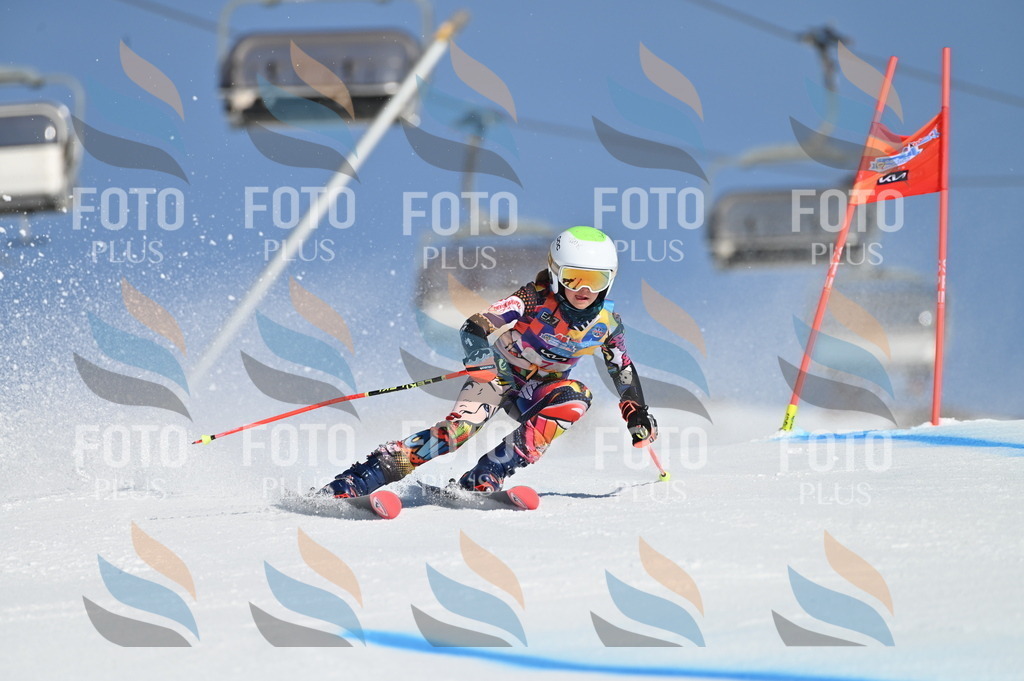 BGV_7685 | holidayphoto