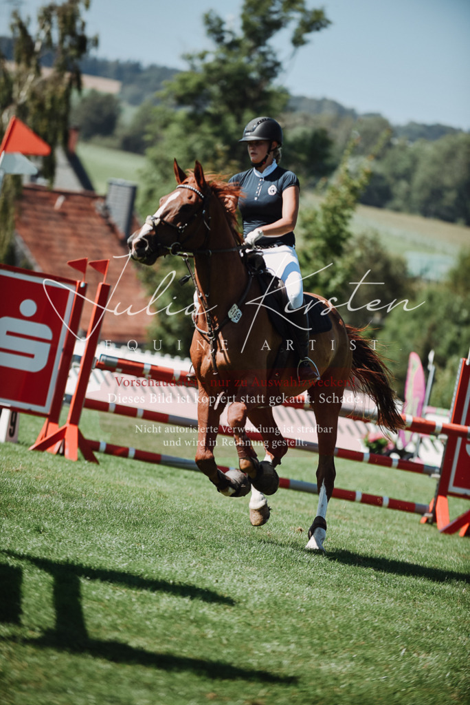 DSC_3105 | Pferde- und Turnierfotografie in Westsachsen. Pferdeportraits, Auftragszeichnungen und intuitive Kunst.