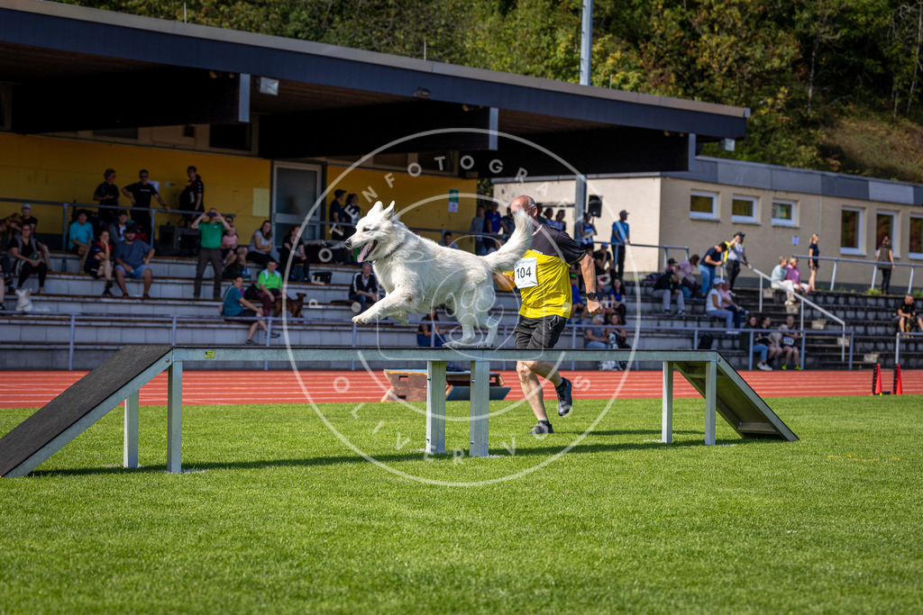 Pfotenfotografie_DV3A8115 | Hundefotografie, Tierfotograf, Pfotenfotografie, Fotoshooting Hund, Hunde Portrait, Hundesport, Hundeportraits, Heideshooting, Hunde, Sportfotograf, Hundefotograf, Turnierhundsport, THS,  - Realisiert mit Pictrs.com