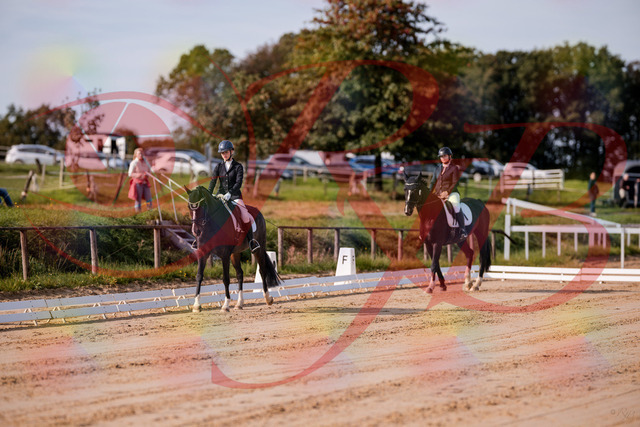 2026_10_03_Siefer-Hof_113230_Z81_78740016 | Professionelle Reitsport-, Turnier- und Eventfotografie von Robert Broda. Galerien mit ausgewählten und bearbeiteten Bildern direkt online ansehen und bestellen.