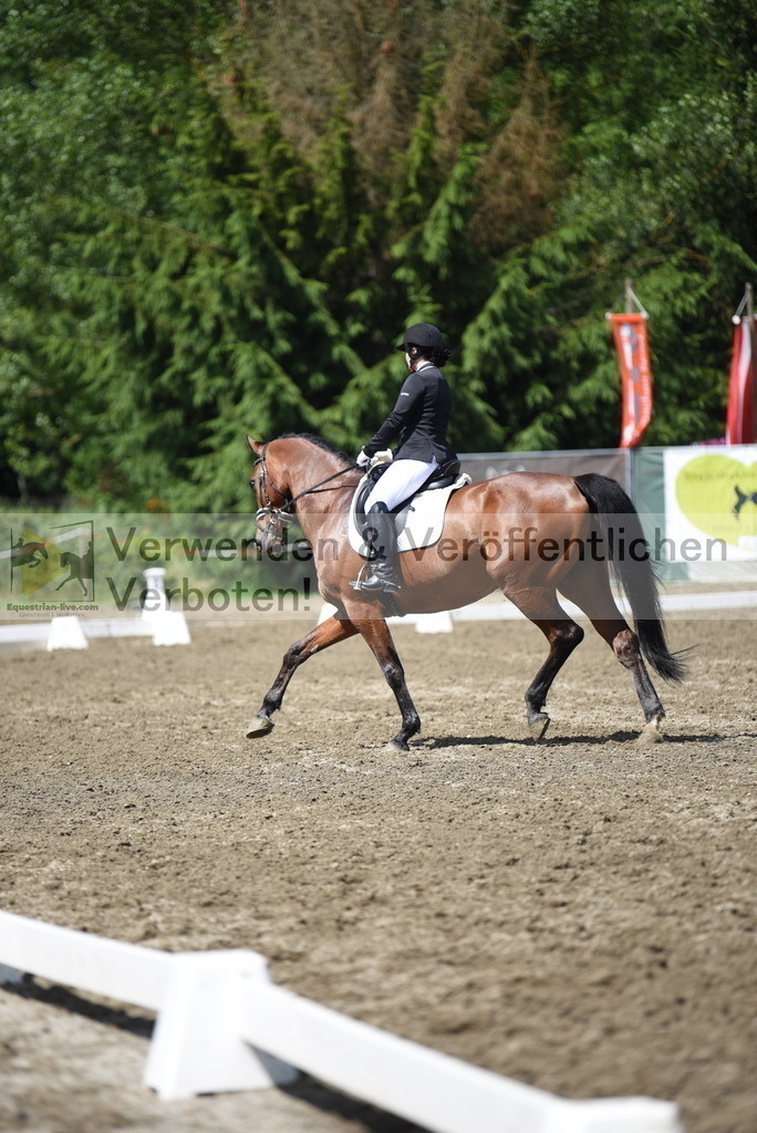 DSC_0444 | equestrian-live-com