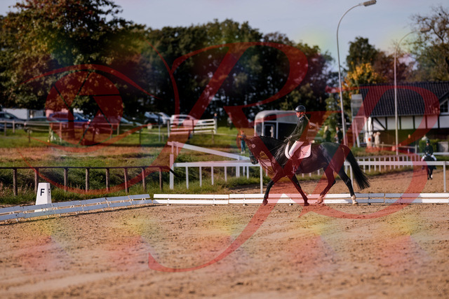2026_10_03_Siefer-Hof_115623_Z81_97091851 | Professionelle Reitsport-, Turnier- und Eventfotografie von Robert Broda. Galerien mit ausgewählten und bearbeiteten Bildern direkt online ansehen und bestellen.