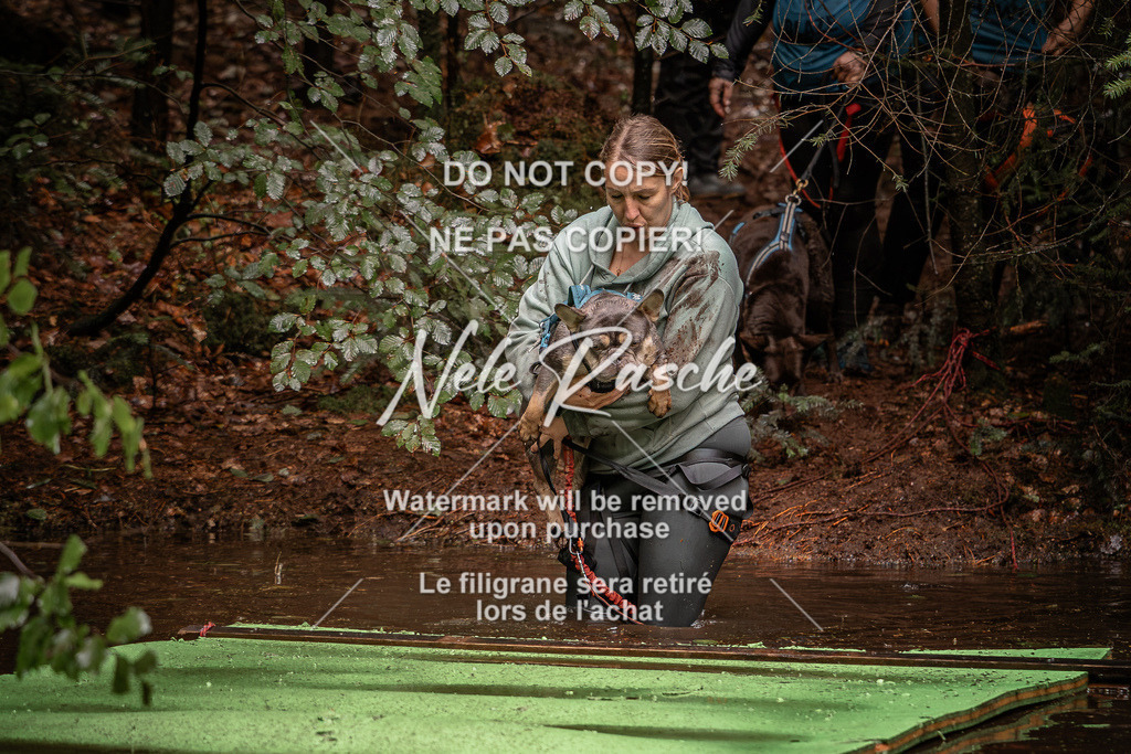 nelerasche_Wingst_Sa1330-1400_31 | nelerasche