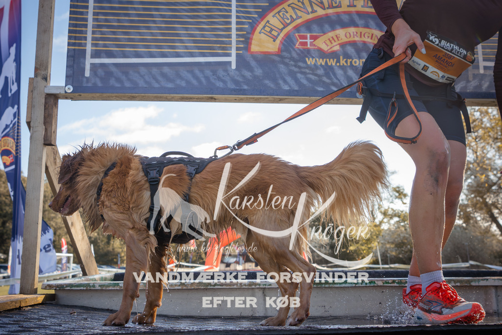 1200_ZZ94230 | kk-dogfotos