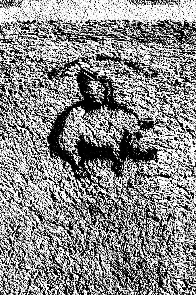 BORO7230 | BILDER AN DIE WAND                                                verschönern sie ihr Büro, ihre Praxis oder ihre viel Wände zu Haus  - Realisiert mit Pictrs.com