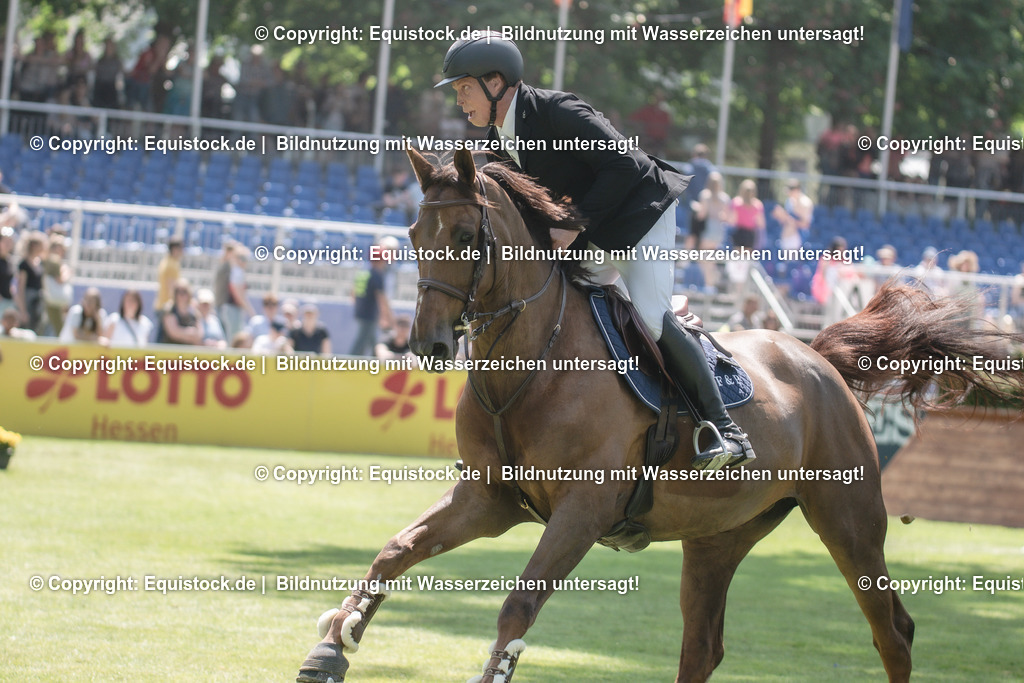 20230527_12_CSI4_Pfungstädter_0021 | equistock