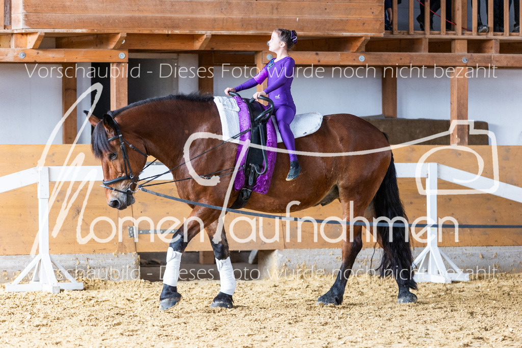 SS-Mini-230 | MomenTaufnahmen Pferdesportfotos