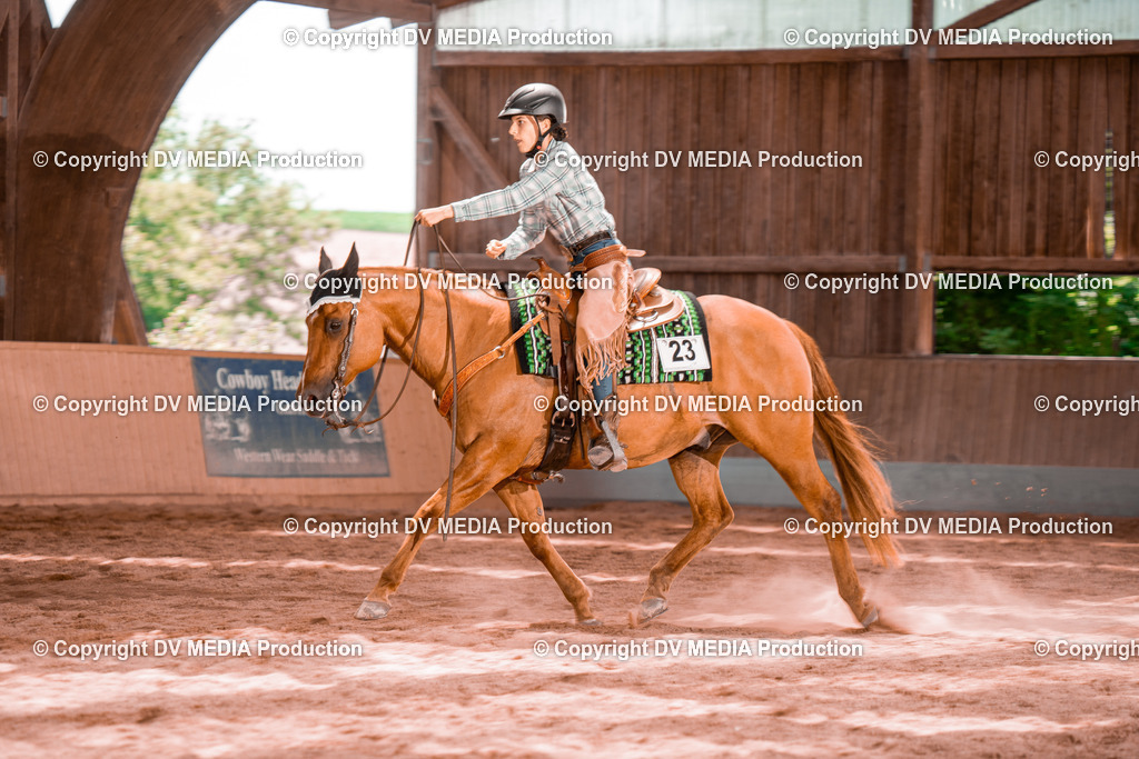 NE200721 | dv-media-shop - Realisiert mit Pictrs.com