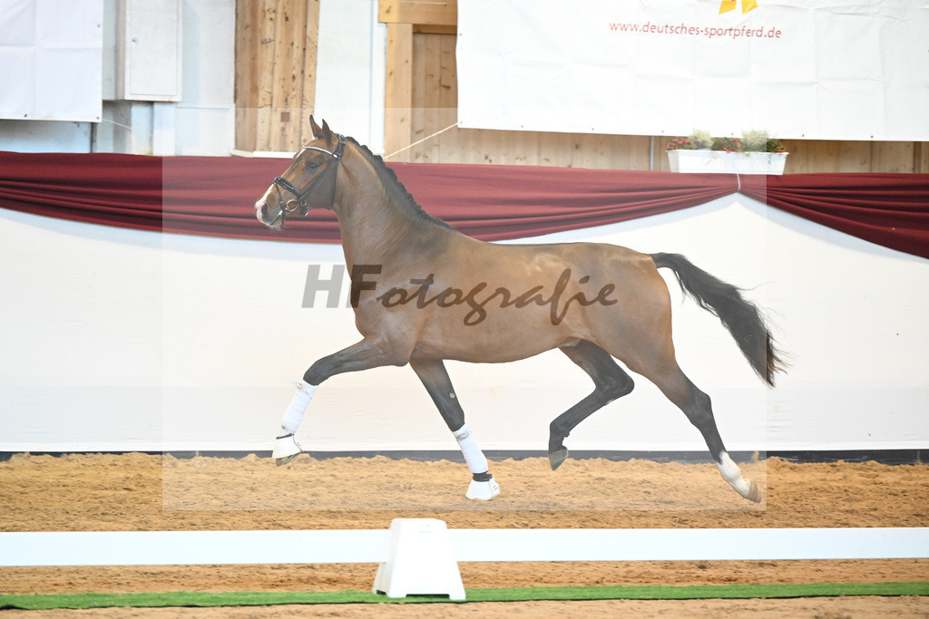 Kat-Nr. 23 v. Don Schufro_Raumanns_66220560 | hf-fotografie - Realisiert mit Pictrs.com