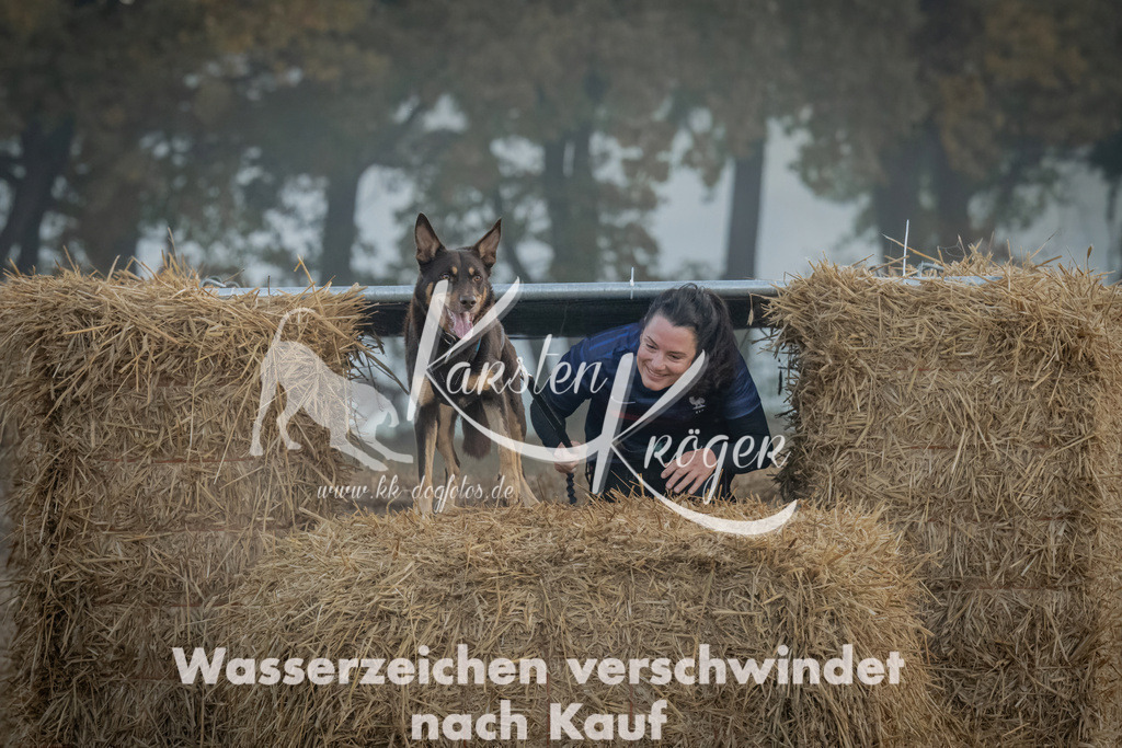 0816_ZZ97598 | kk-dogfotos