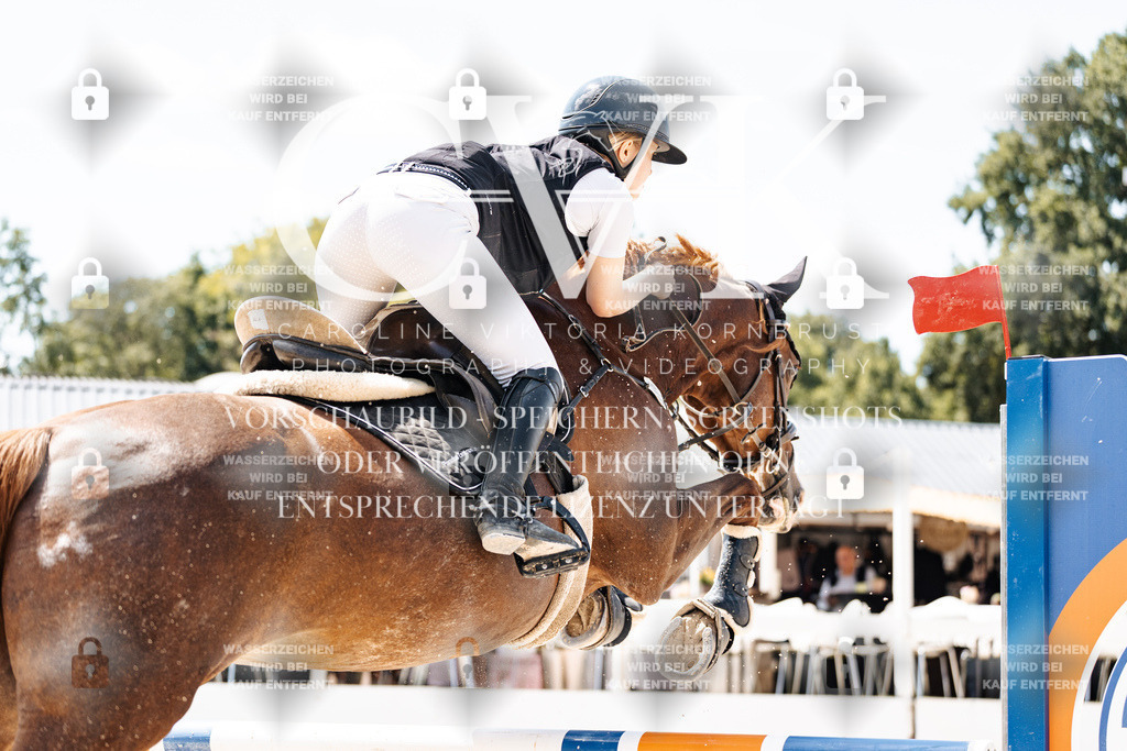 CK907670 | Turnierfotografie Pferdefotografie Trier Rheinland-Pfalz Pferdesport Reitsport Tierfotografie Sportfotografie Pferdevideo Pferdevideografie Equestrianvideography equestrianphotography  - Realisiert mit Pictrs.com