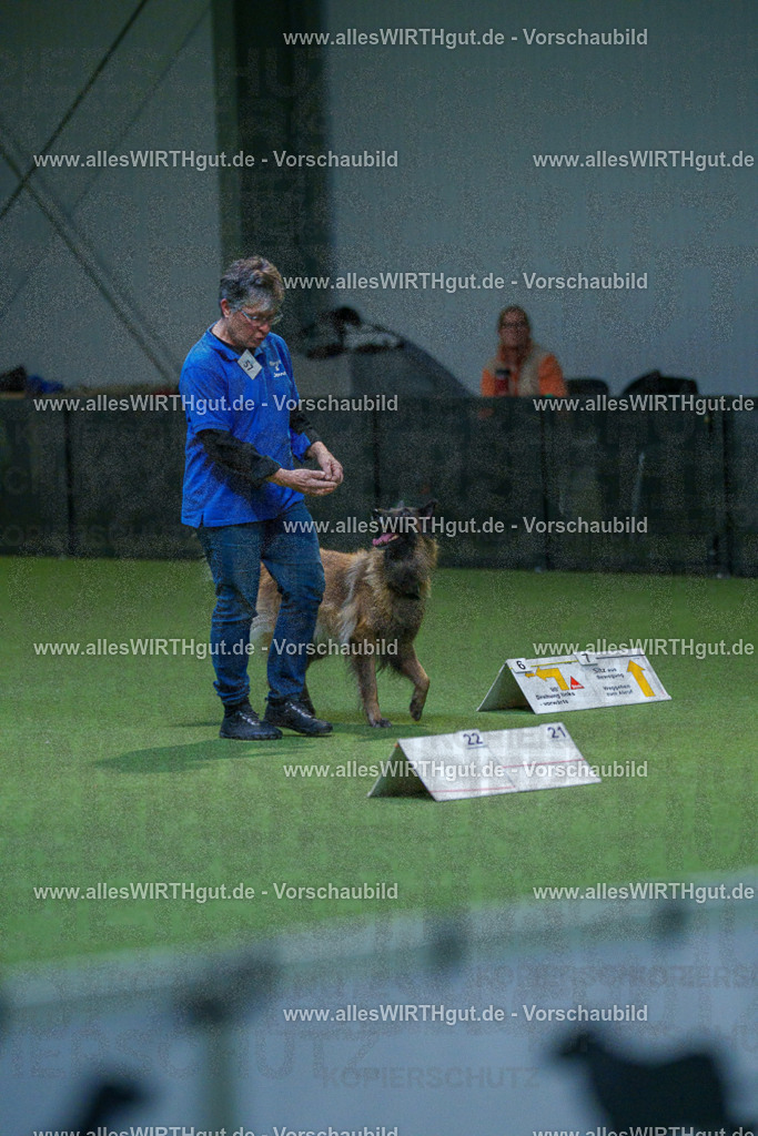 7R502613 | Professionelle Tierfotografie in Mönchengladbach von Daniel Wirth (allesWIRTHgut). Liebevolle & natürliche Bilder von Hunden & Katzen für unvergessliche Erinnerungen.