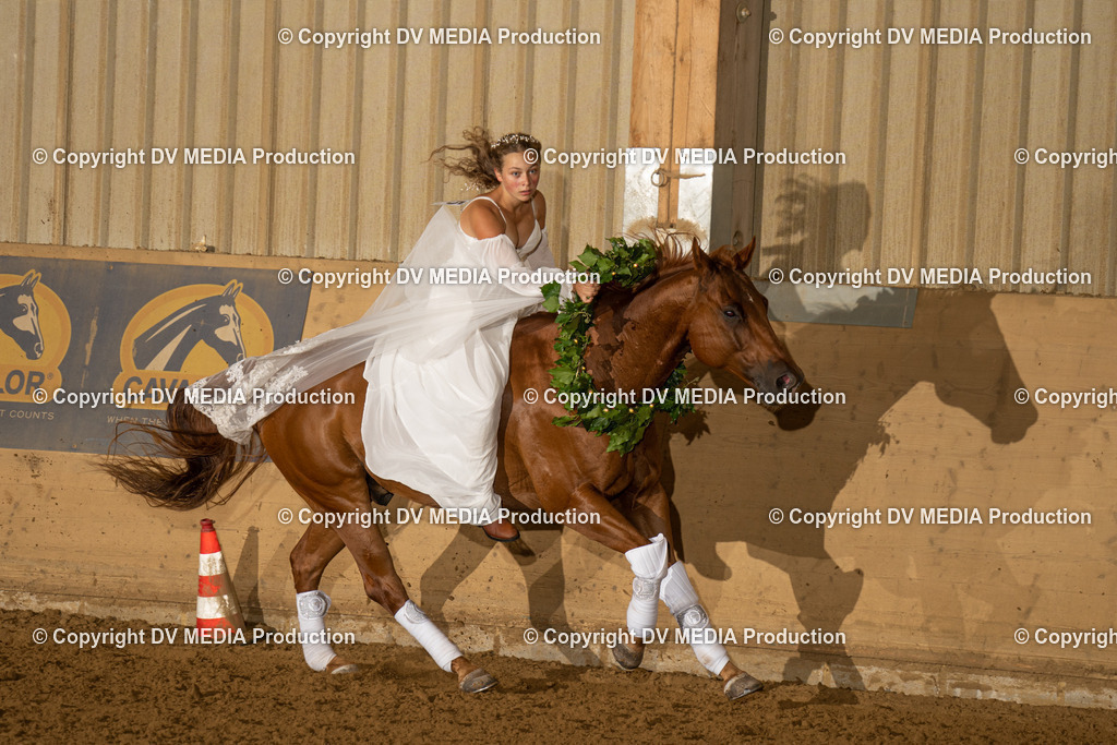 LAU01198 | dv-media-shop - Realisiert mit Pictrs.com