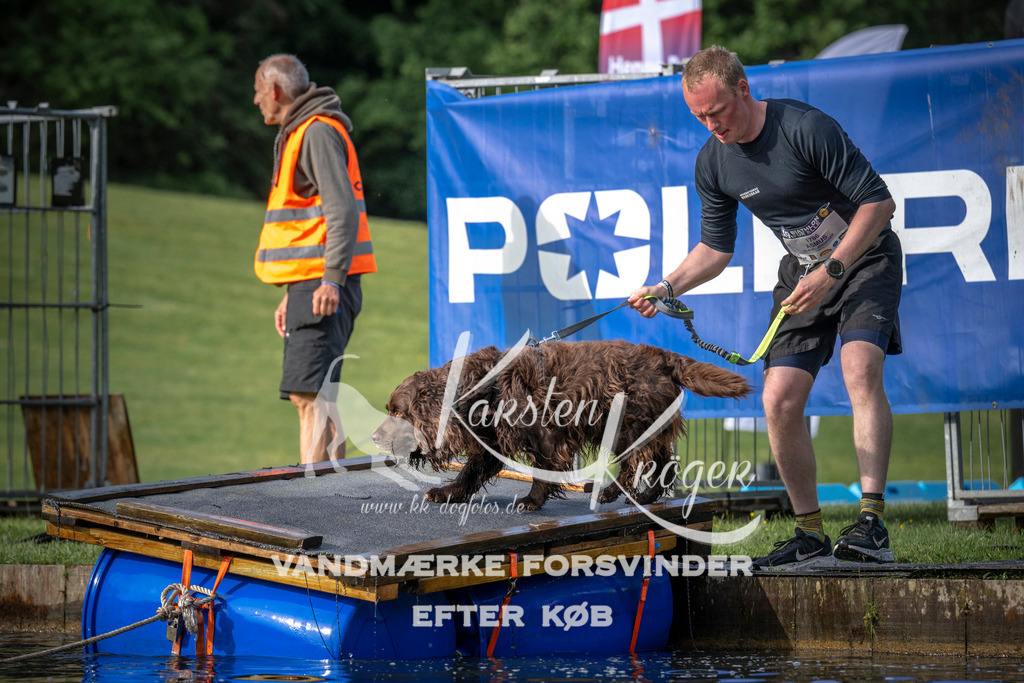 _ZZ937070707 | kk-dogfotos