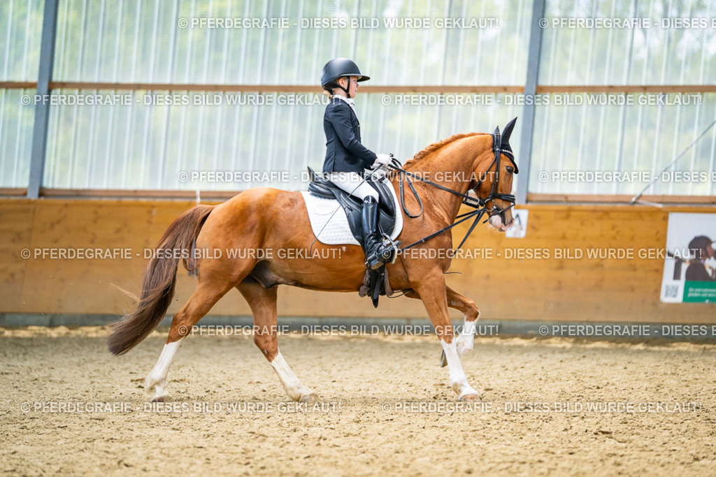 DSC04598 | Pferdegrafie