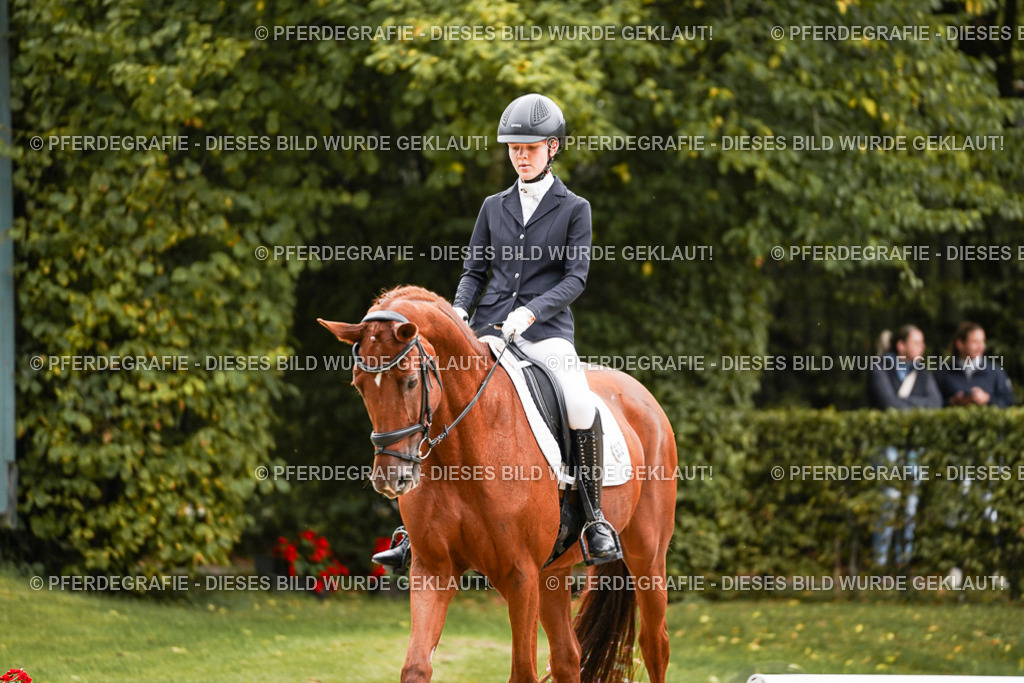 DSC07558 | Pferdegrafie