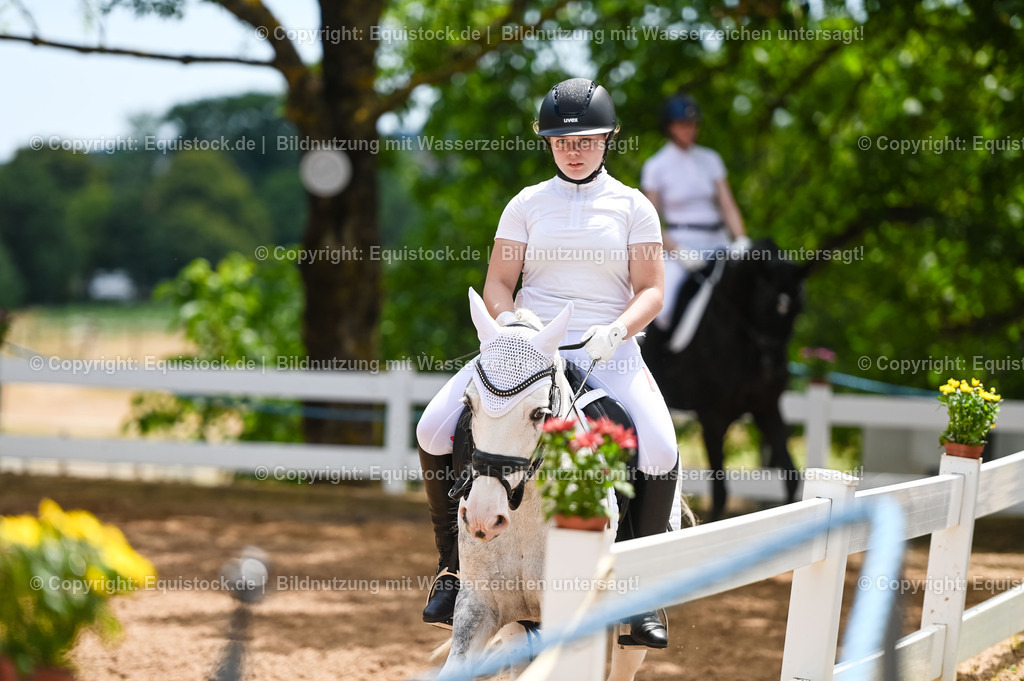 20230715_05_Dressurprüfung Kl.A++_0285 | equistock